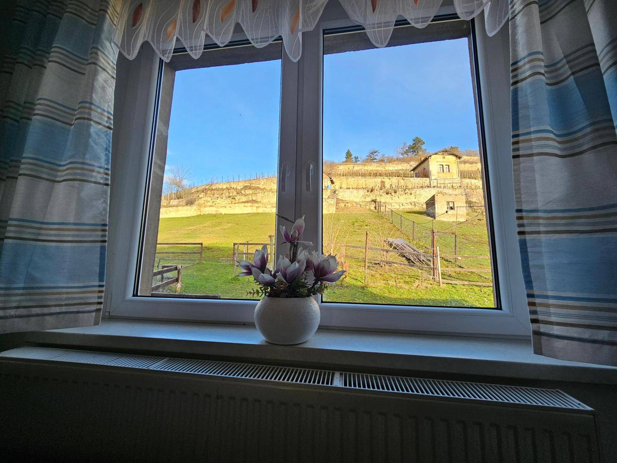 Ferienhaus Und Strausswirtschaft Im Weinberg Freyburg Eksteriør bilde